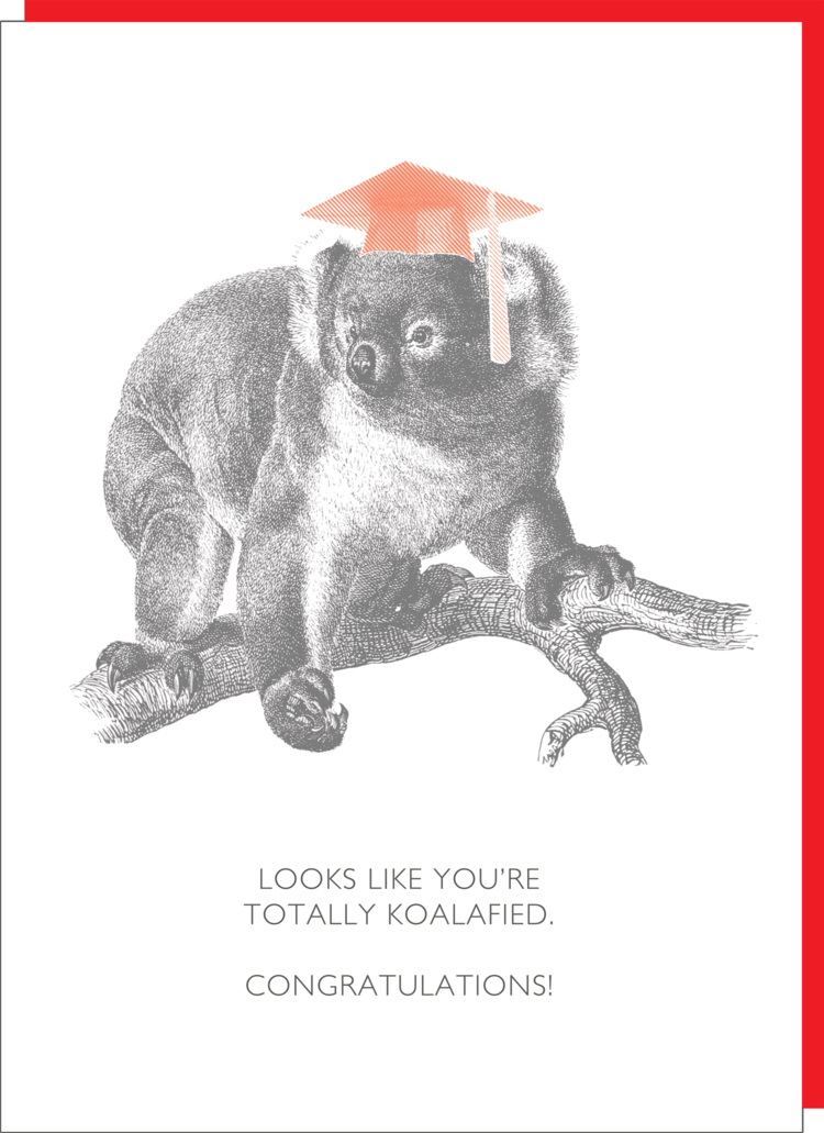 Koala Graduation greeting card