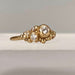 gold diamond encrusted ring