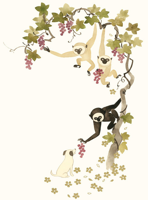 Artistic monkey greeting cards