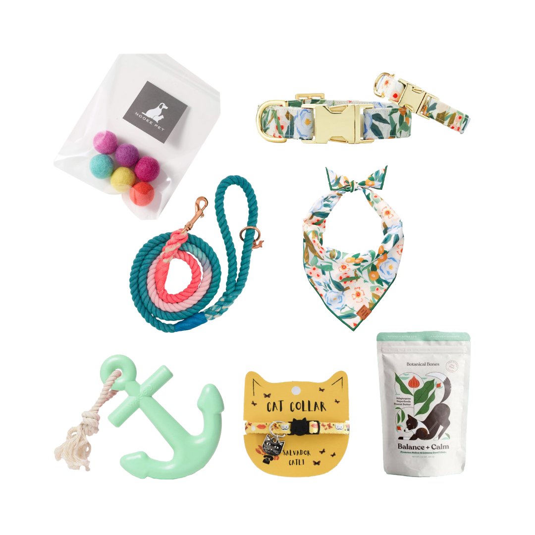 Designer Pet accessories and toys