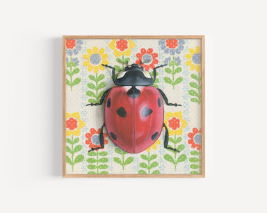 Ladybug White - Fine Art Print - Insect Illustration by Emily Uchytil, featuring a vibrant red ladybug on a floral patterned background.