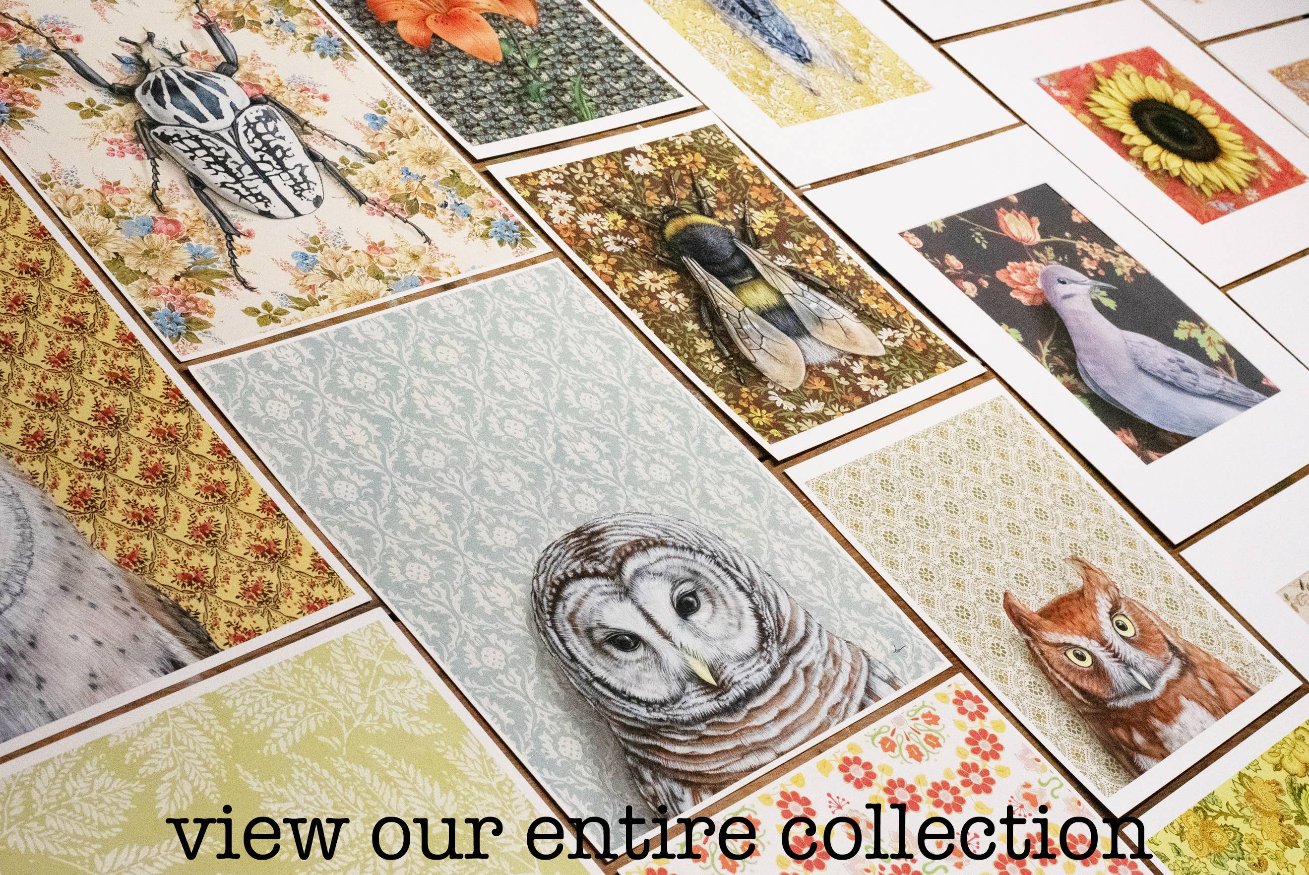 Display of various fine art prints, including meerkat and bird illustrations, created by Emily Uchytil, featuring intricate floral patterns and vintage wallpaper.