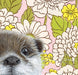 Detail of the 'Otter' fine art print by Emily Uchytil, highlighting the otter's expressive features and vintage wallpaper design.