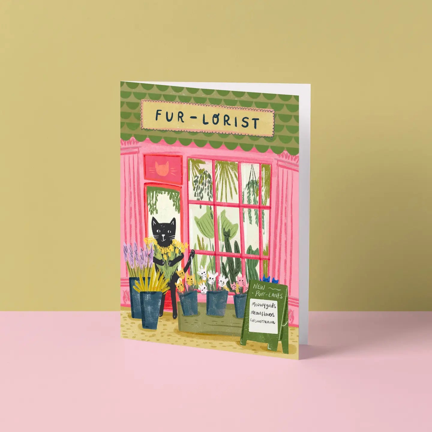 Niaski Cat Card Collection