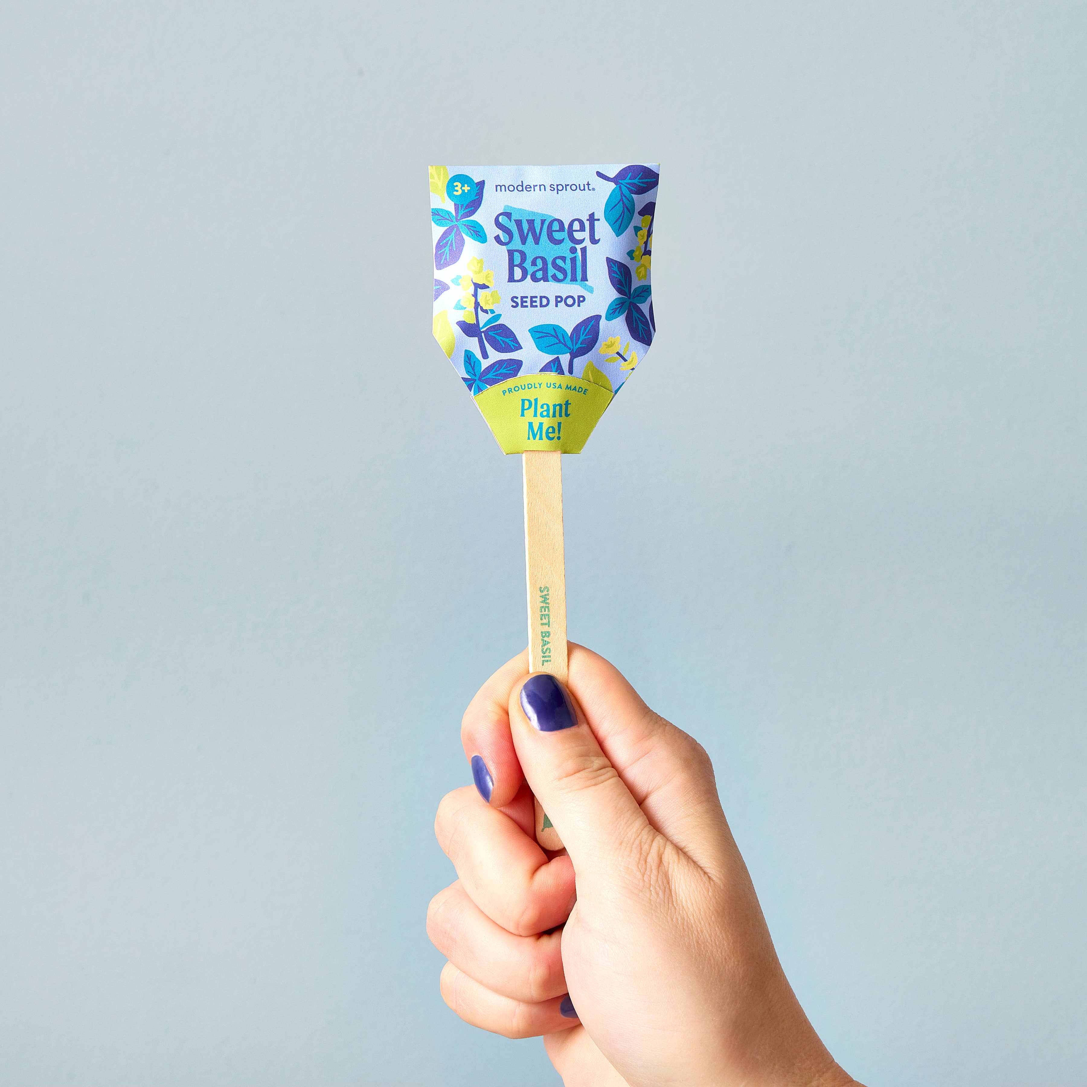 Hand holding a Sweet Basil Seed Pop from Modern Sprout, part of the Garden Seed Pop collection, designed for fun and easy gardening.