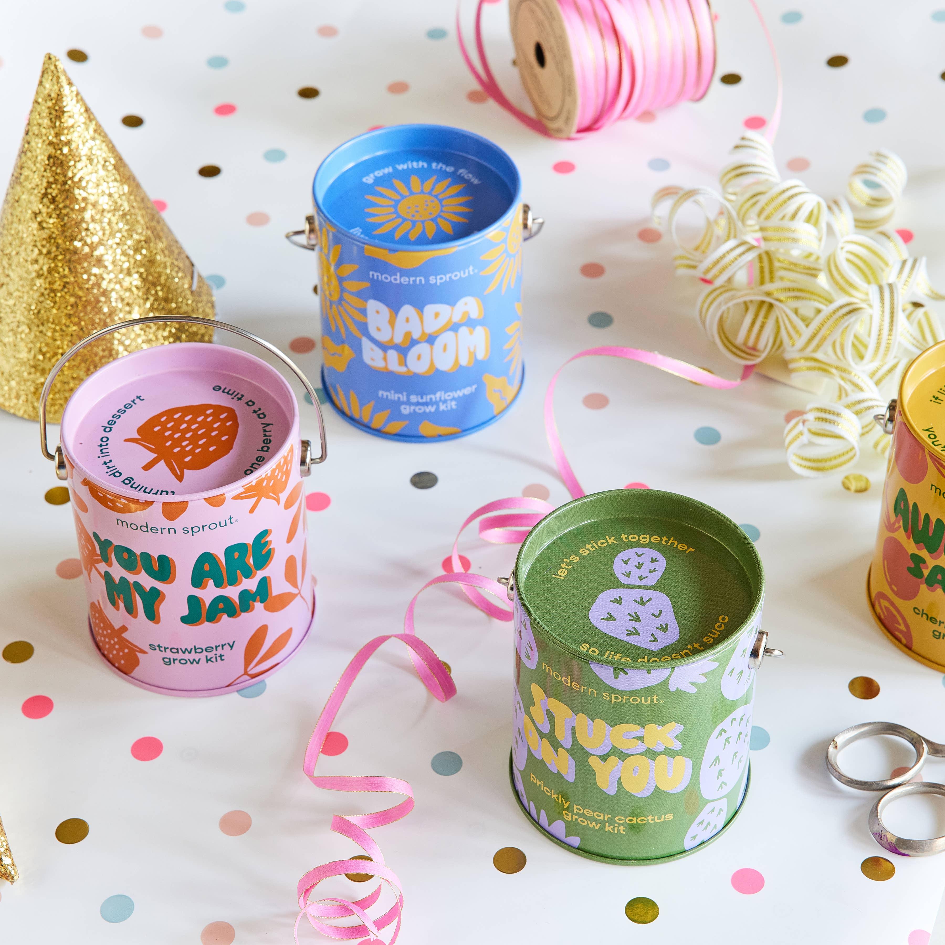 Modern Sprout Complimentary Color Grow Kits - A vibrant display of Mini Sunflower and Prickly Pear Cactus grow kits surrounded by colorful party decorations.