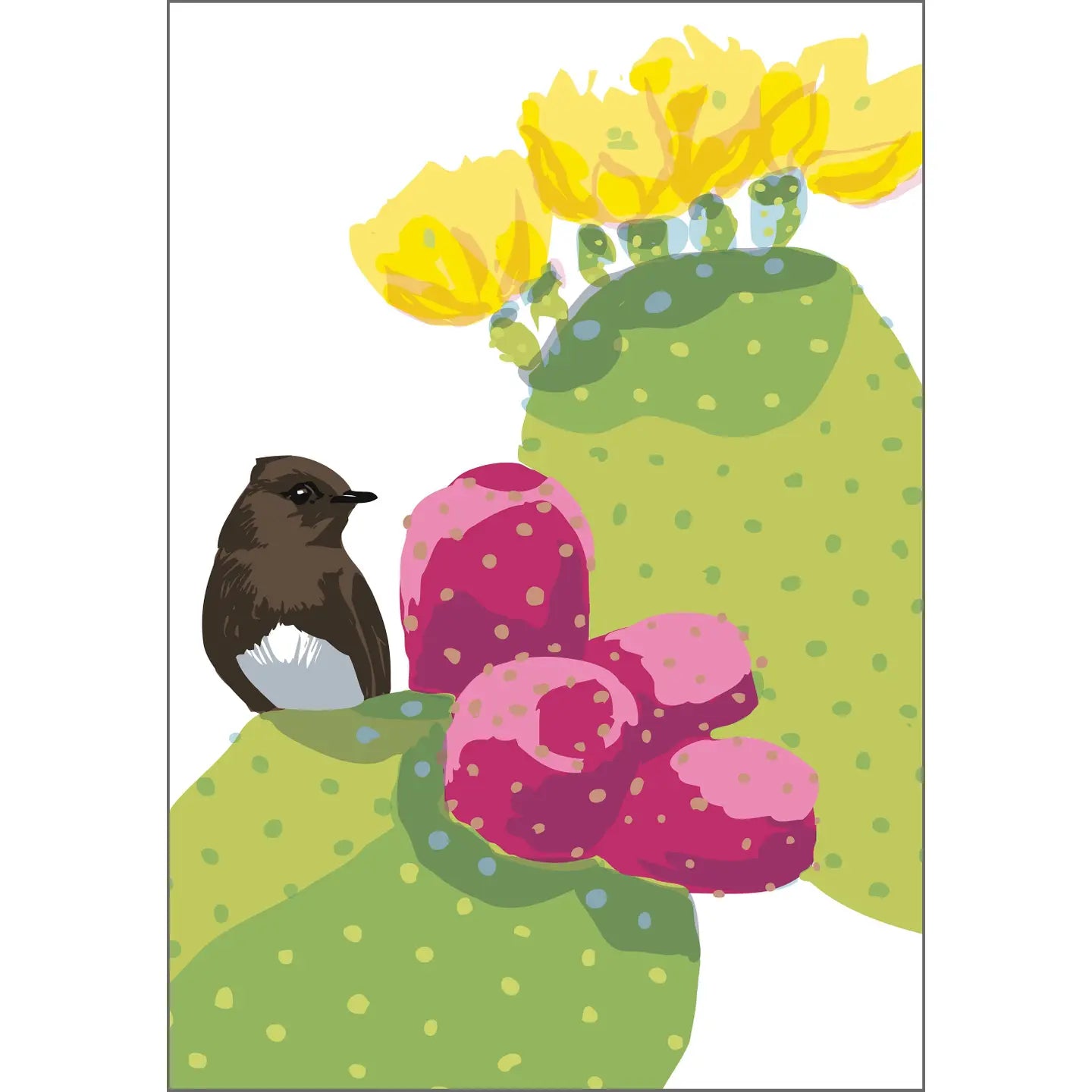 Rigel Stuhmiller Card Collection