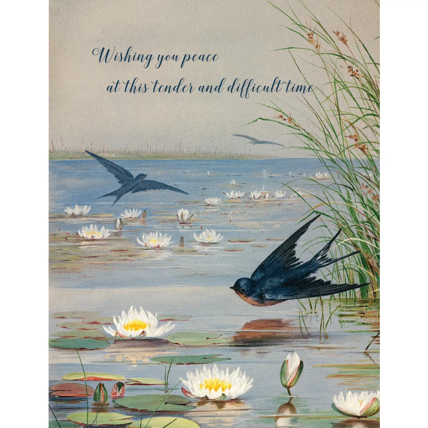 P. Flynn Design Card Collection