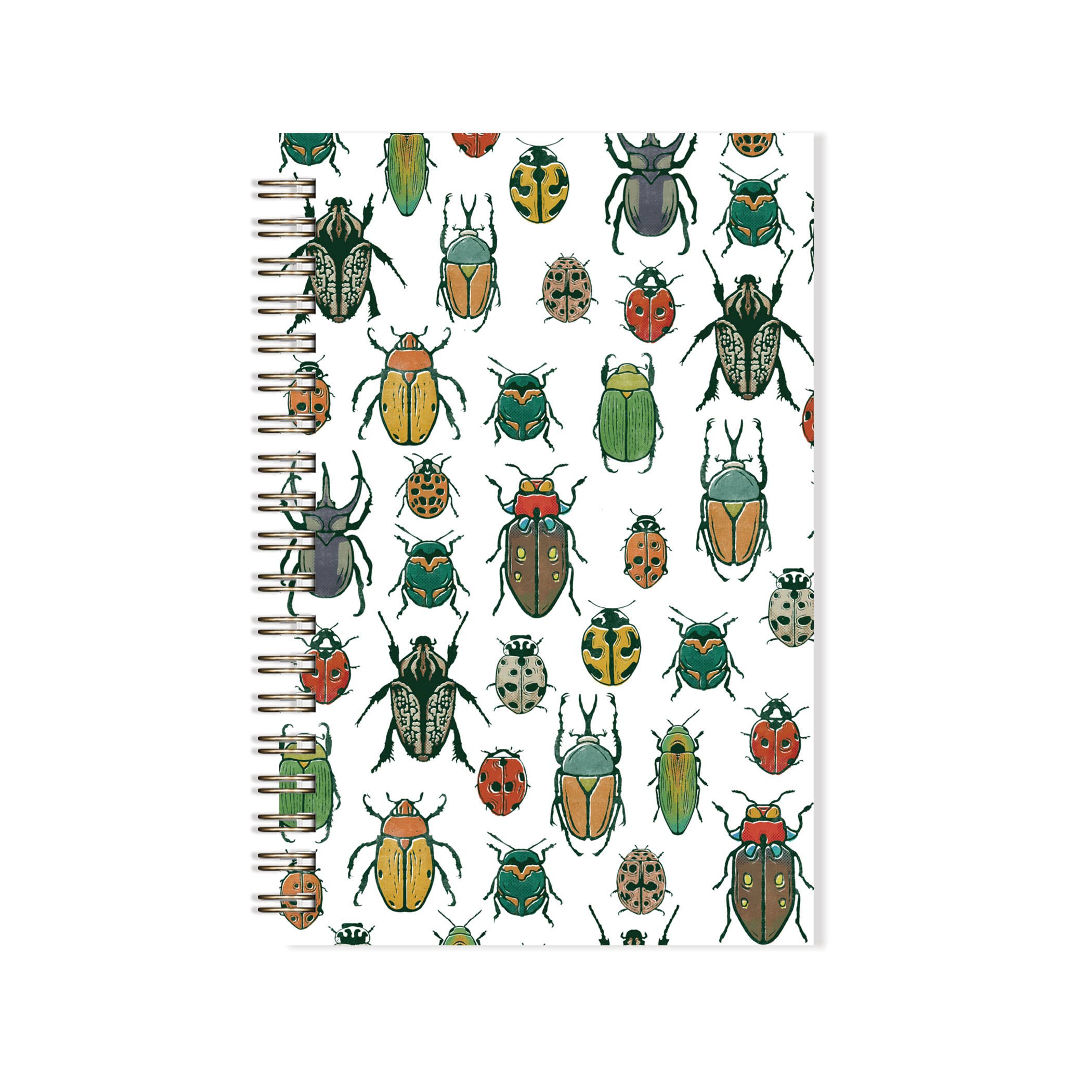 Beetles notebook