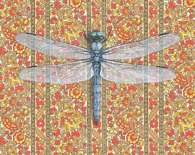 Framed art print of a dragonfly over a patterned floral background.