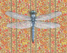 Framed art print of a dragonfly over a patterned floral background.