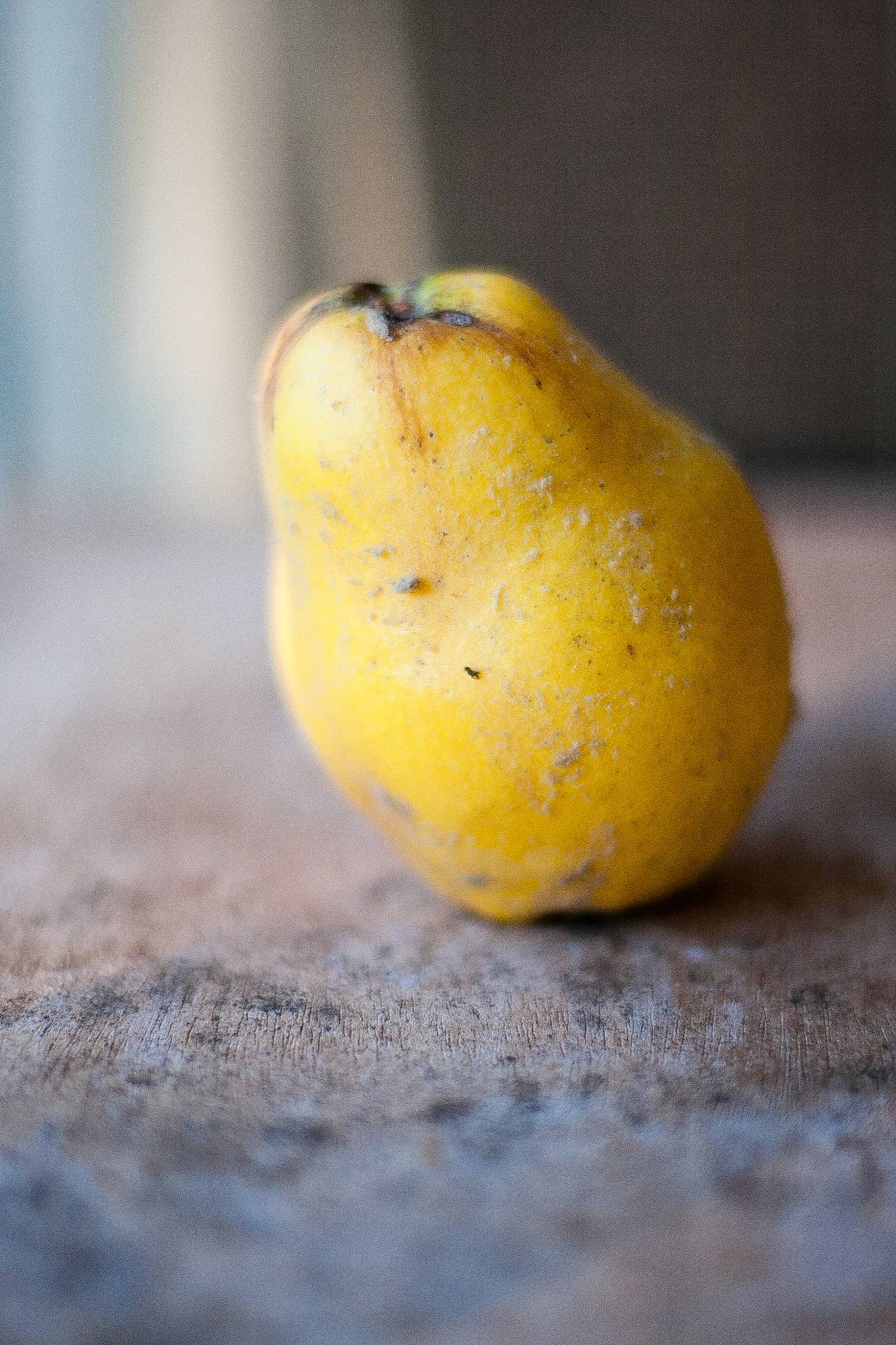 Quince Marmalade Spoon Preserves