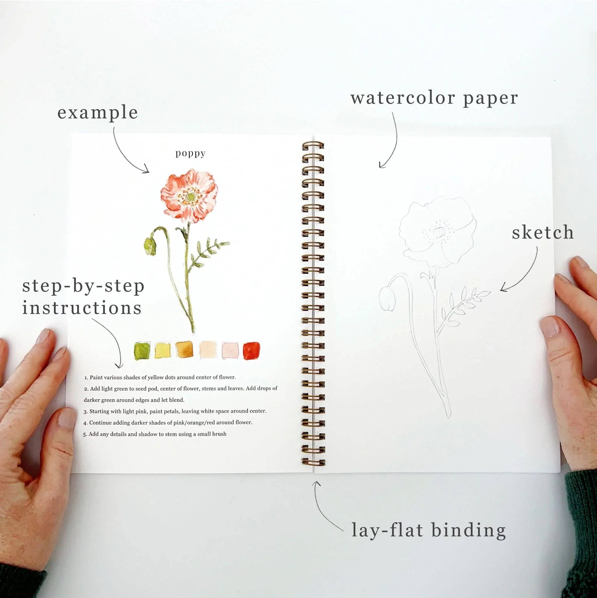 A preview of the Flowers watercolor workbook featuring simple and fun flower sketches to paint.