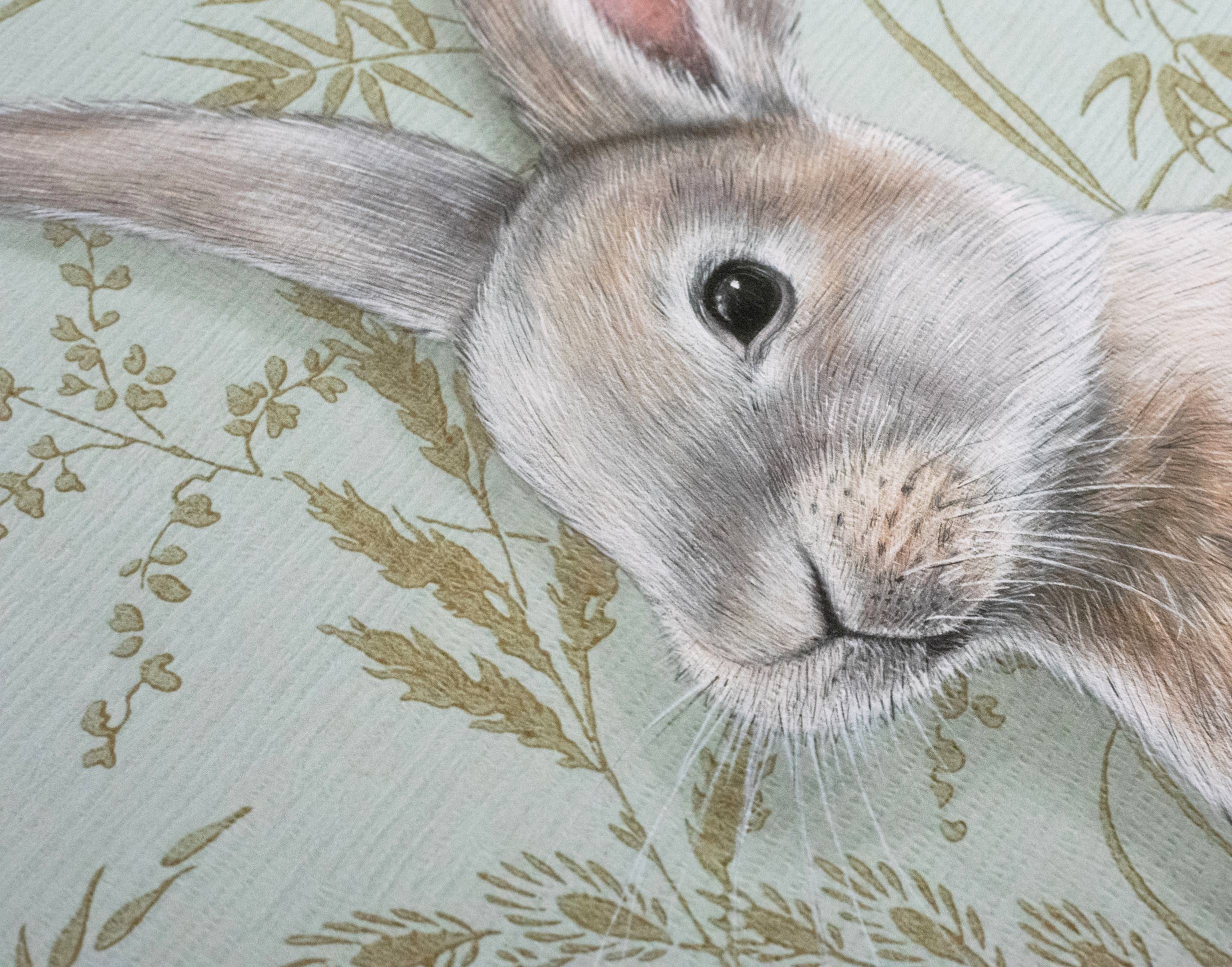 Close-up of a rabbit illustration by Emily Uchytil in a fine art print, showcasing intricate details and soft colors against a floral background.