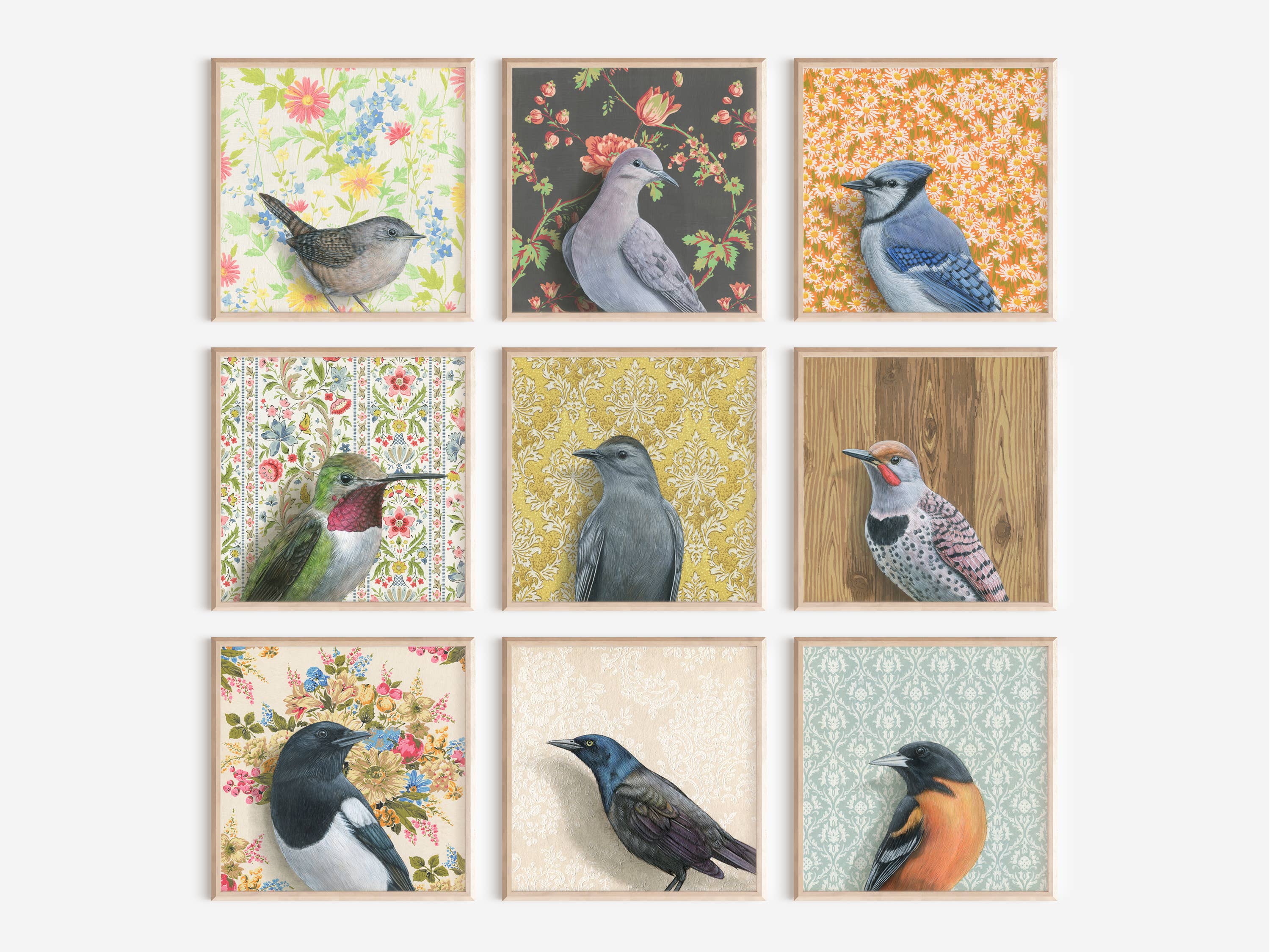 Collage of various bird illustrations, including the Bluejay by Emily Uchytil, framed and arranged attractively, ideal for home decor and gifts.