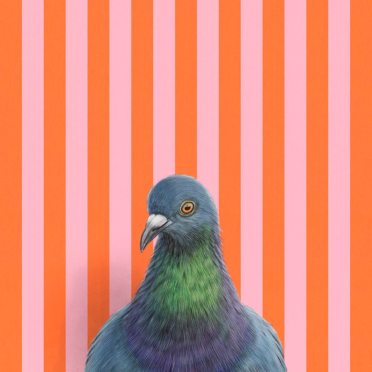 Pigeon Fine Art Print - A charming illustration of our feathered friend, guaranteed to ruffle feathers and impress guests.