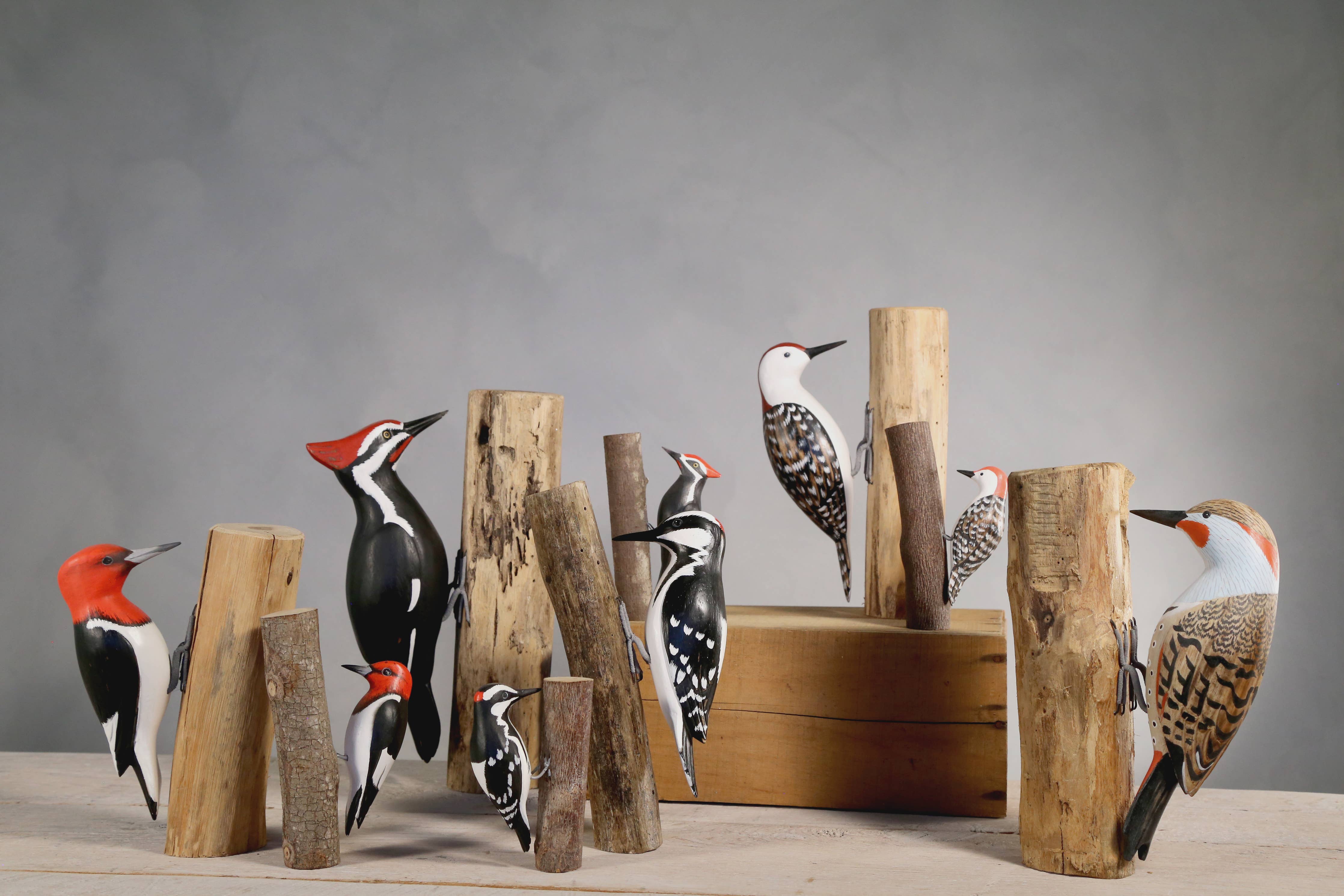 A collection of hand-carved wooden birds, including the vibrant Woodpecker Red Headed by Aviologie, displayed amidst natural wooden elements.