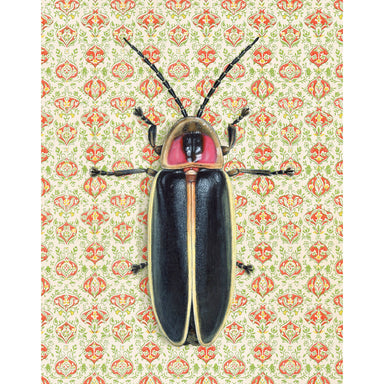 Detailed view of Goliath Beetle fine art print by Emily Uchytil, showcasing realistic insect illustration on ornate patterned wallpaper.