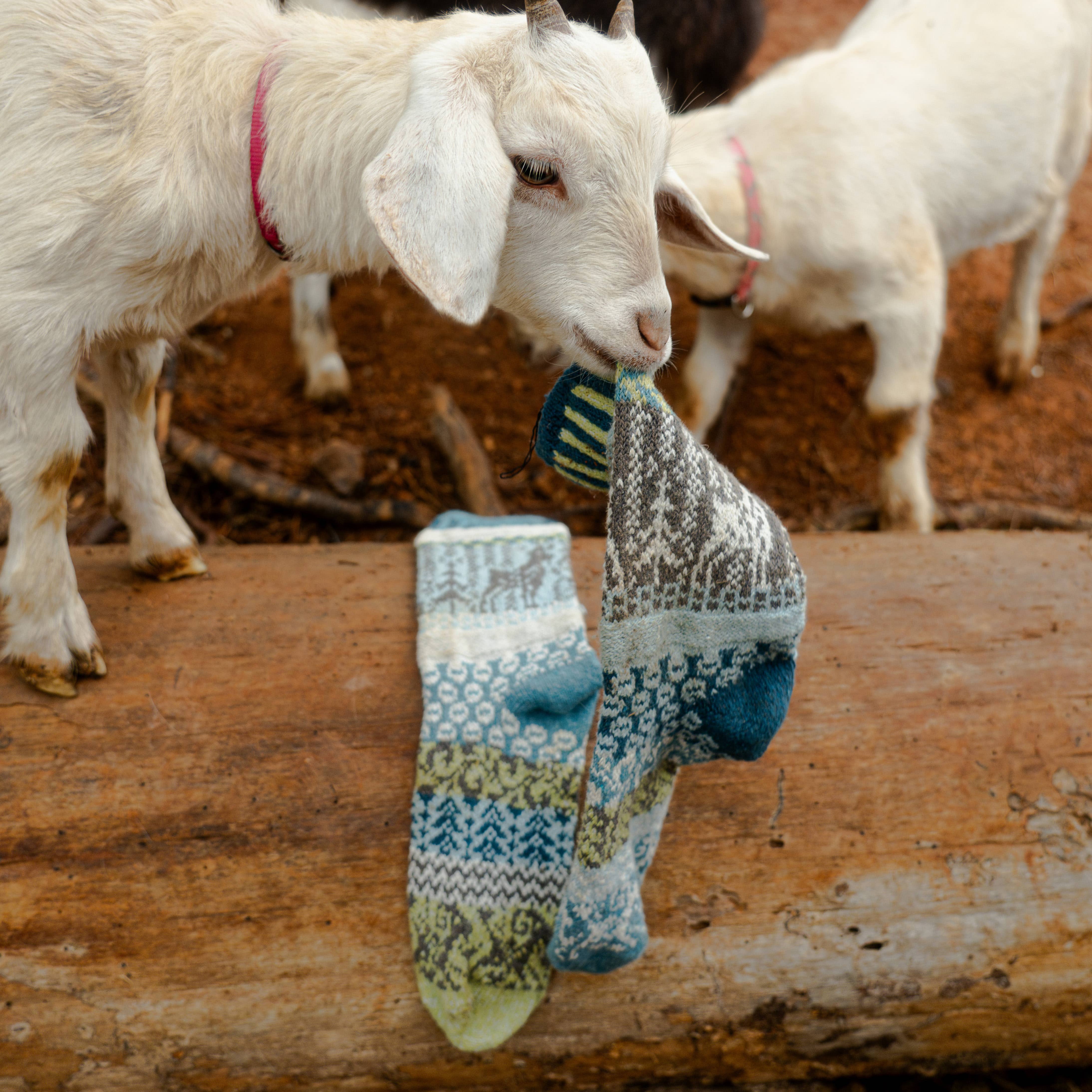 Goat Crew Socks | Socks That Give Back to National Parks