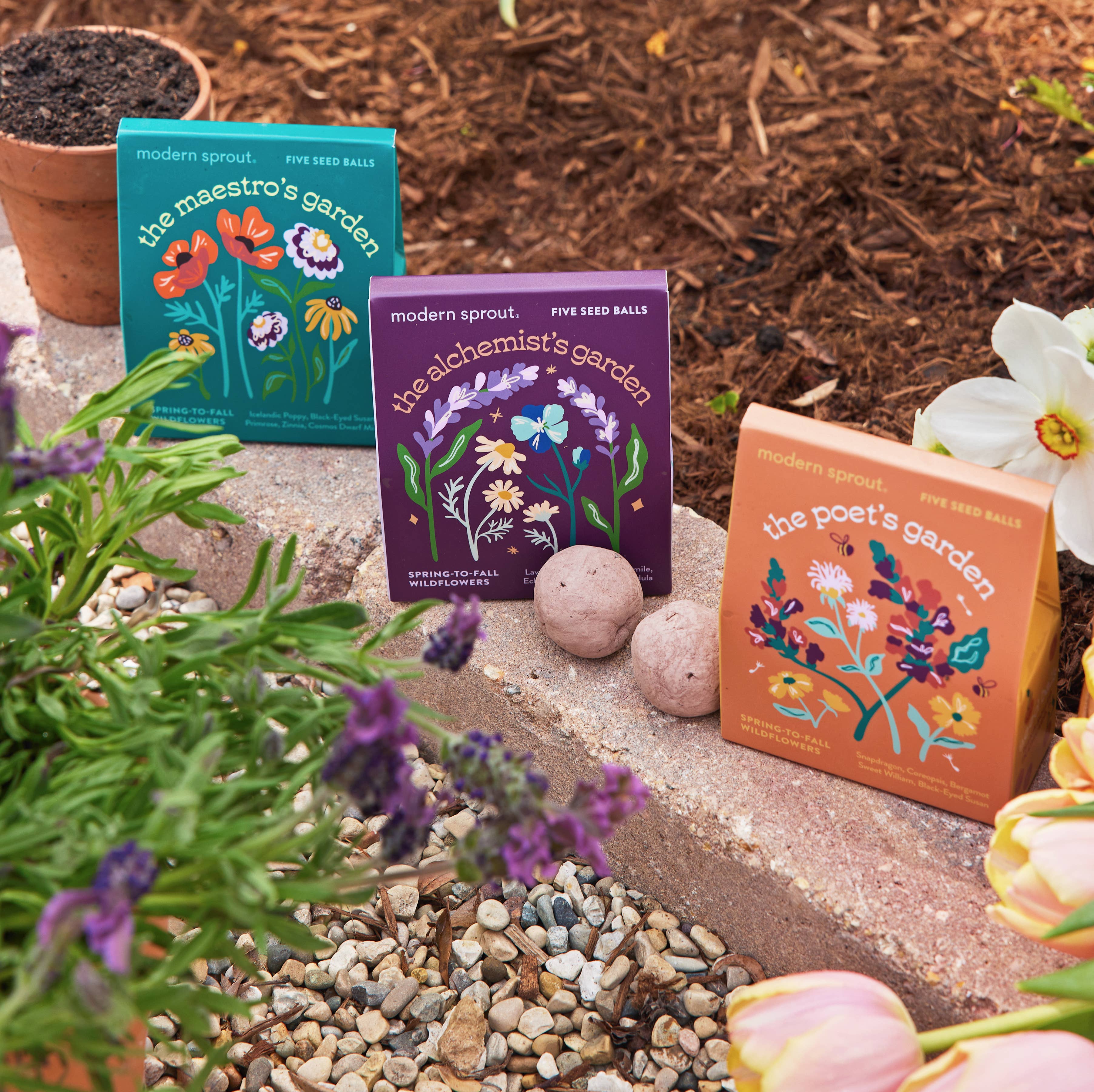 Bespoke Blooms by Modern Sprout presented in a garden setting with The Poet's Garden, The Maestro's Garden, and The Alchemist's Garden seed ball kits, emphasizing vibrant planting potential.