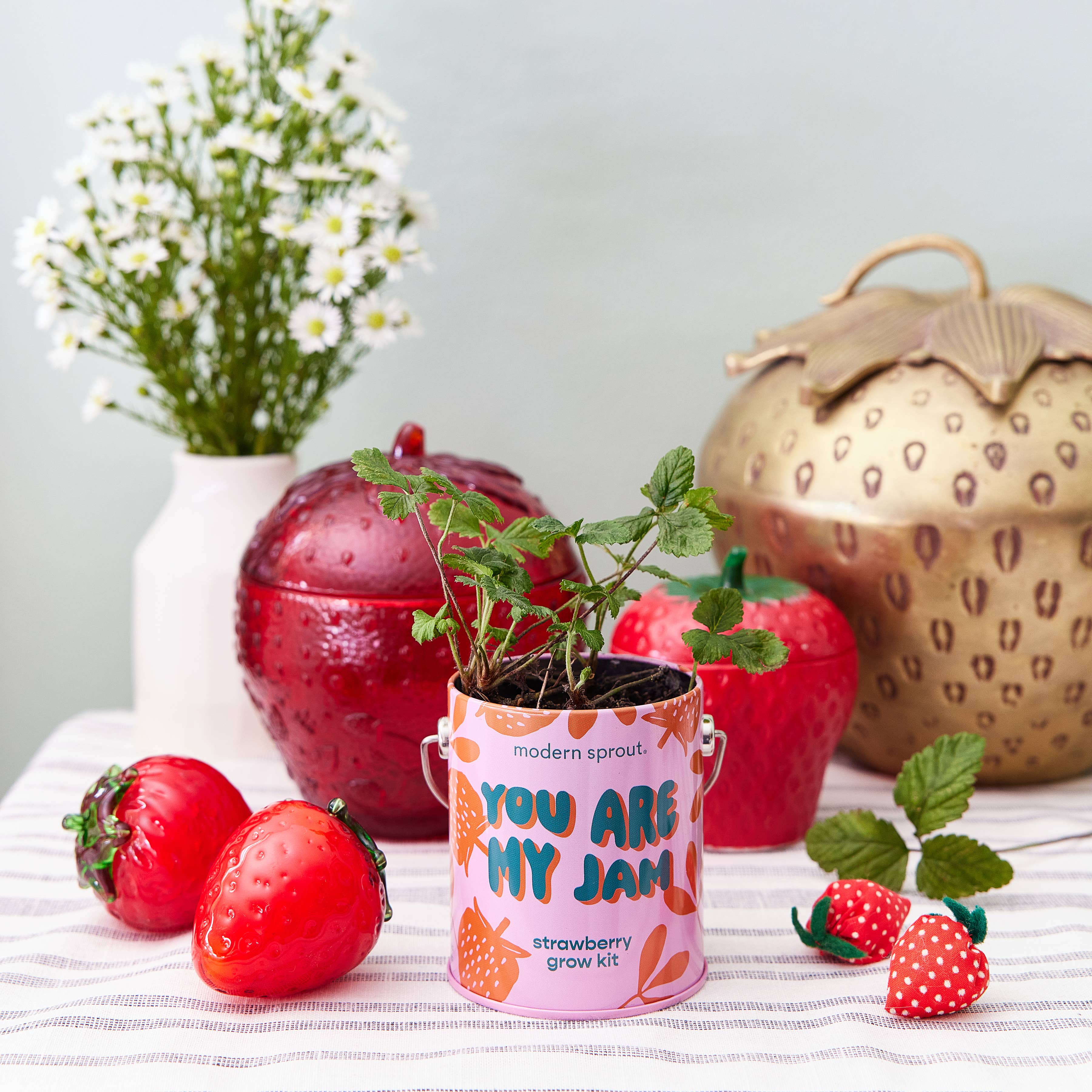 Modern Sprout Complimentary Color Grow Kits featuring a strawberry grow kit, decorated with vibrant packaging and fresh strawberry plants, on a striped table with decorative fruits.