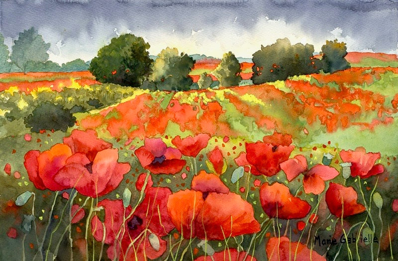 Poppies Everywhere | Original Framed Watercolor | 22x28