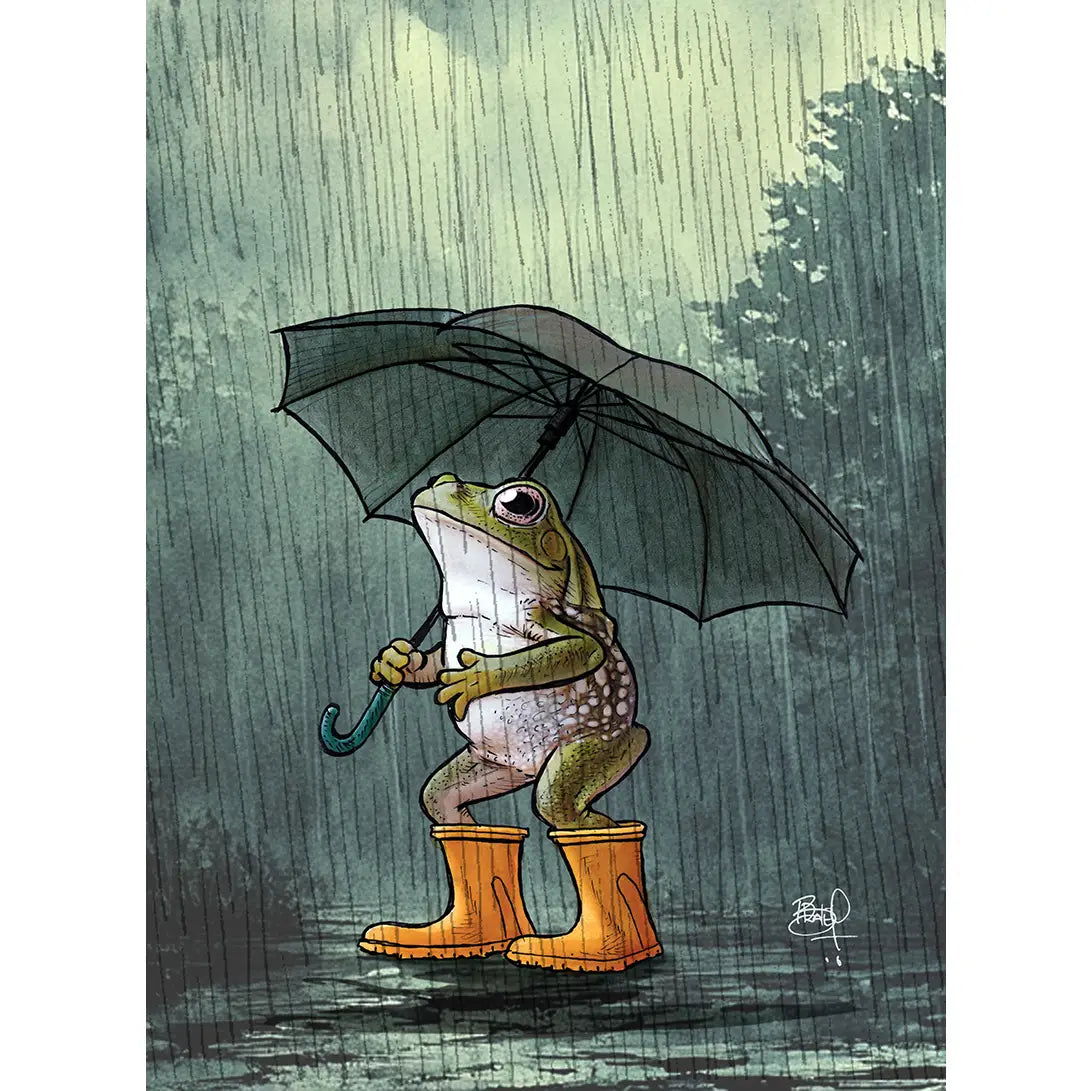 Shawn Braley Card Collection