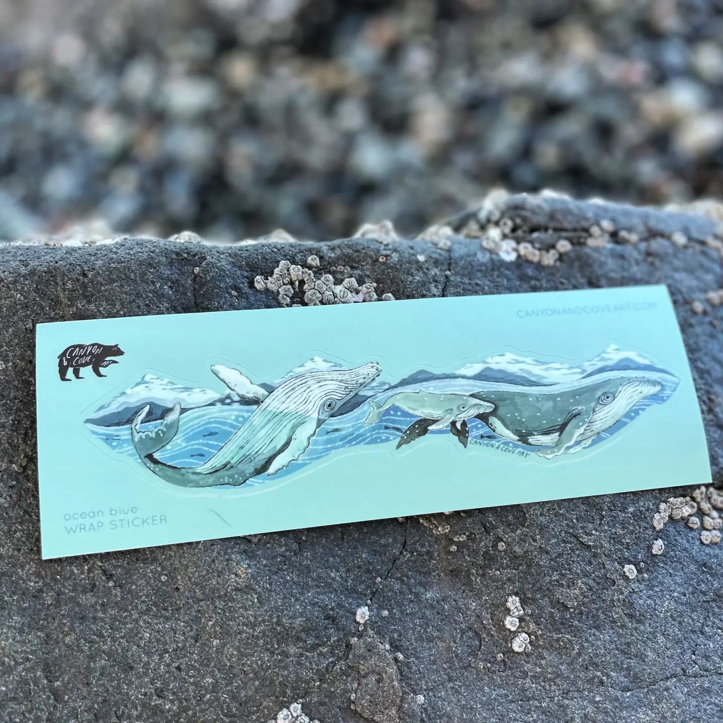 Wrap Sticker