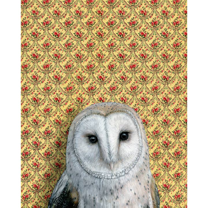 Wild Wallflowers | Barn Owl