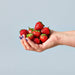 Hand holding freshly picked strawberries, showcasing the produce grown with Seed Pops from Modern Sprout's Garden Seed Pop collection.