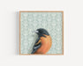 Framed art print of a Baltimore oriole on a patterned background.