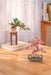Sakura Bonsai Modern Wooden Puzzle by Hands Craft showcased on a wooden table featuring two completed wooden bonsai trees, illustrating the elegant designs.