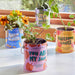 Collection of Modern Sprout grow kits featuring Strawberry and Mini Sunflower plants in vibrant planters, arranged on a white surface to illustrate the joy of home gardening with complimentary color grow kits.