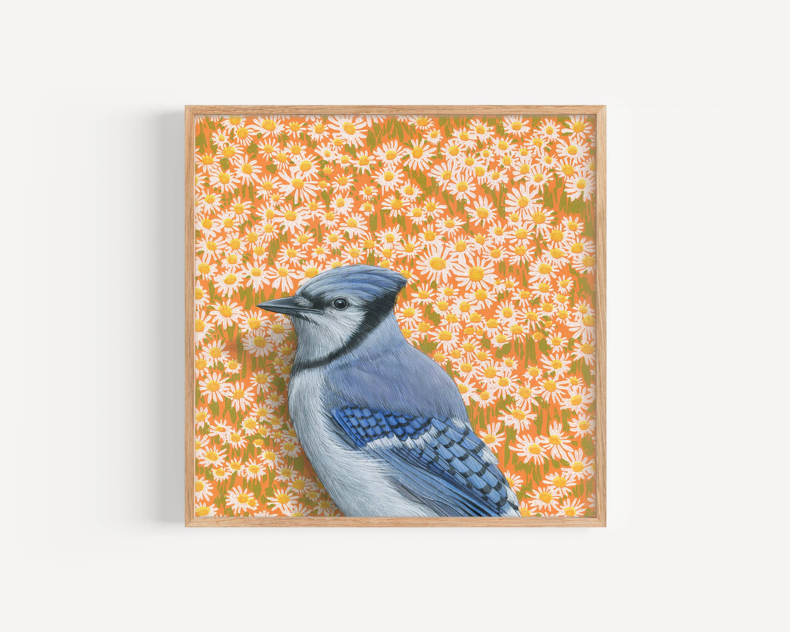 Bluejay fine art print by Emily Uchytil, featuring a detailed illustration of a blue jay bird against a vibrant floral orange background.