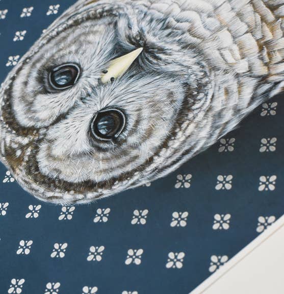 Charming Barred Owl Dark Blue Fine Art Print, a must-have for nursery art lovers; let this clever owl inspire your child's dreams!