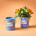 Mini sunflower grow kit by Modern Sprout presented with blooming sunflowers in colorful cans, emphasizing the design of the Complimentary Color Grow Kits.