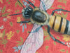 Close-up view of a Honeybee illustration against a vibrant red background, showcasing intricate details of the insect and floral elements, by artist Emily Uchytil. Fine art print title: Honeybee Red.