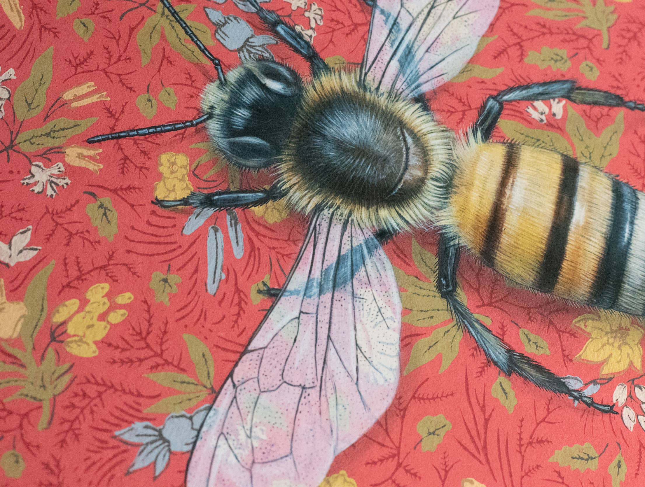 Close-up view of a Honeybee illustration against a vibrant red background, showcasing intricate details of the insect and floral elements, by artist Emily Uchytil. Fine art print title: Honeybee Red.
