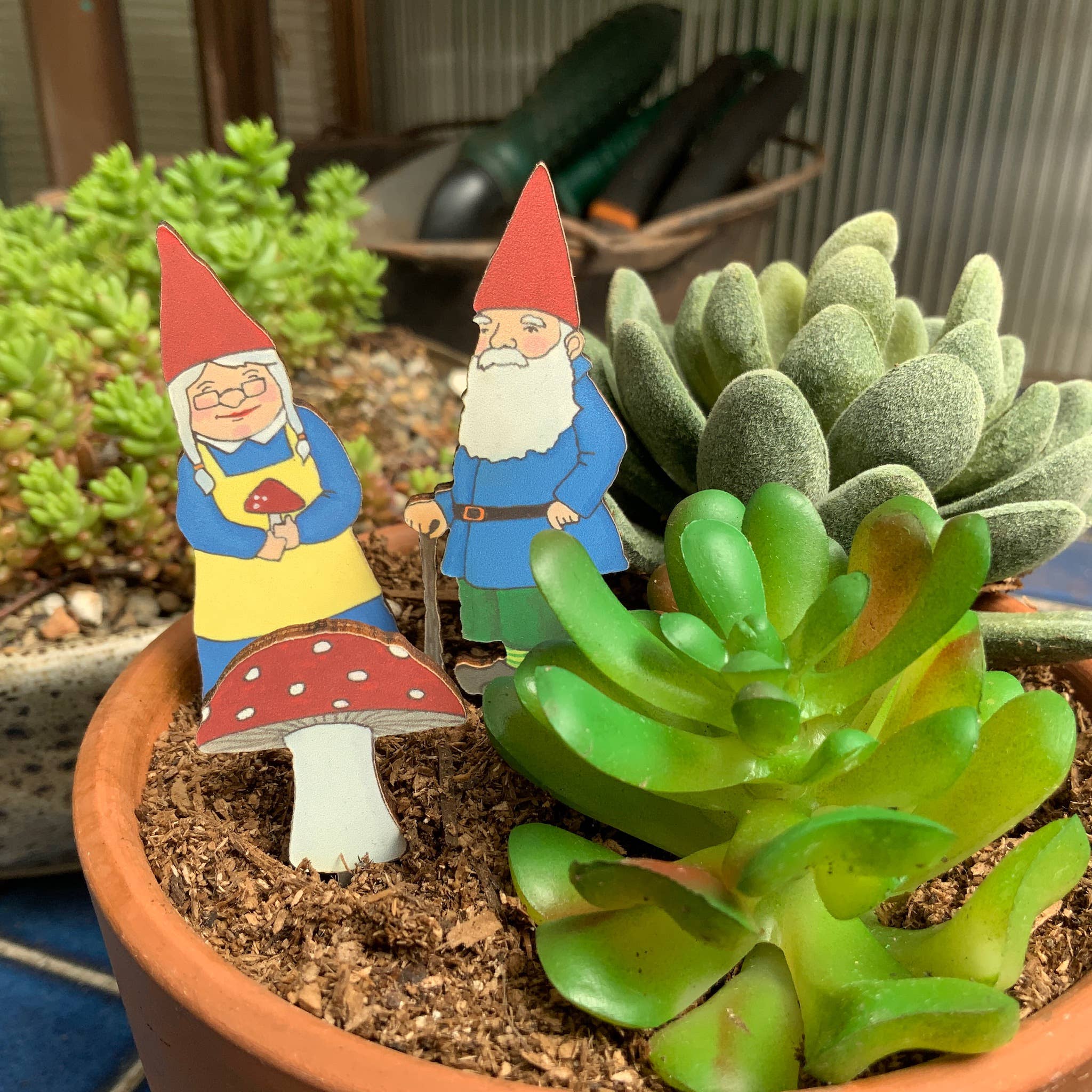 gnomes diorama plant
