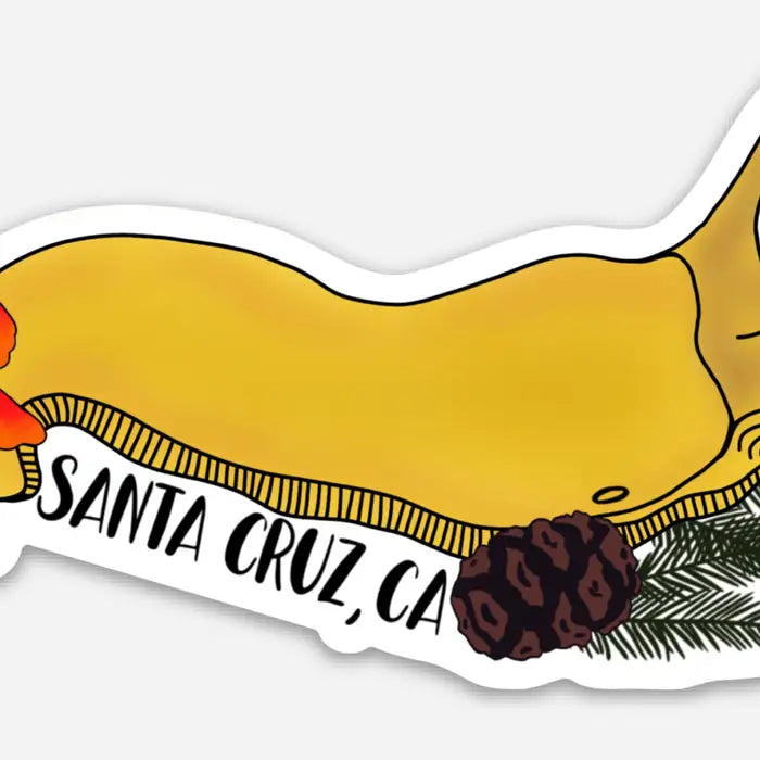 Santa Cruz CA slug sticker