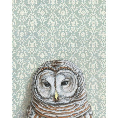 Framed Barred Owl with Light Blue wallpaper signed original