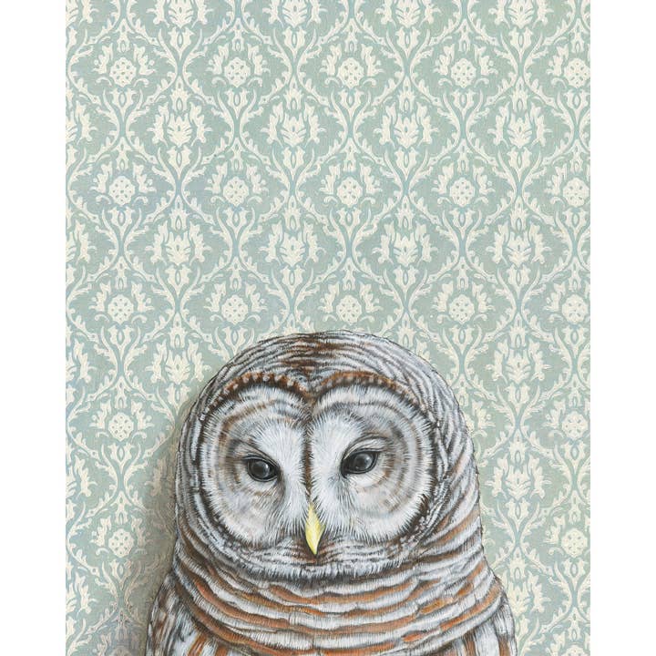 Framed Barred Owl with Light Blue wallpaper signed original