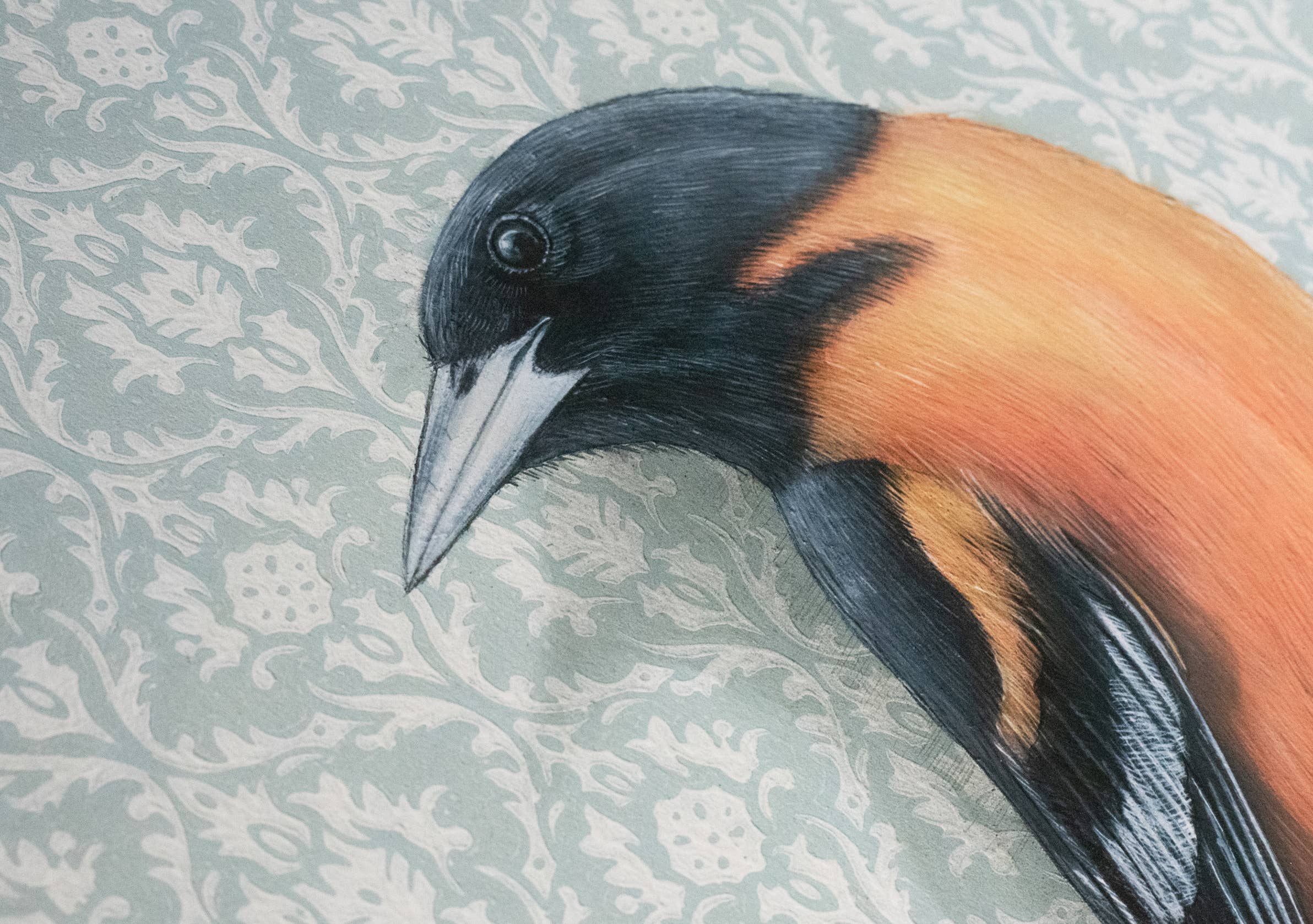 Framed art print of a Baltimore oriole on a patterned background.