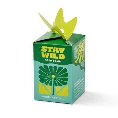Close-up of the Stay Wild seed bomb packaging by Modern Sprout. The green box features a floral design and highlights its offering of organic wildflower seeds, perfect for creating a pollinator-friendly garden.