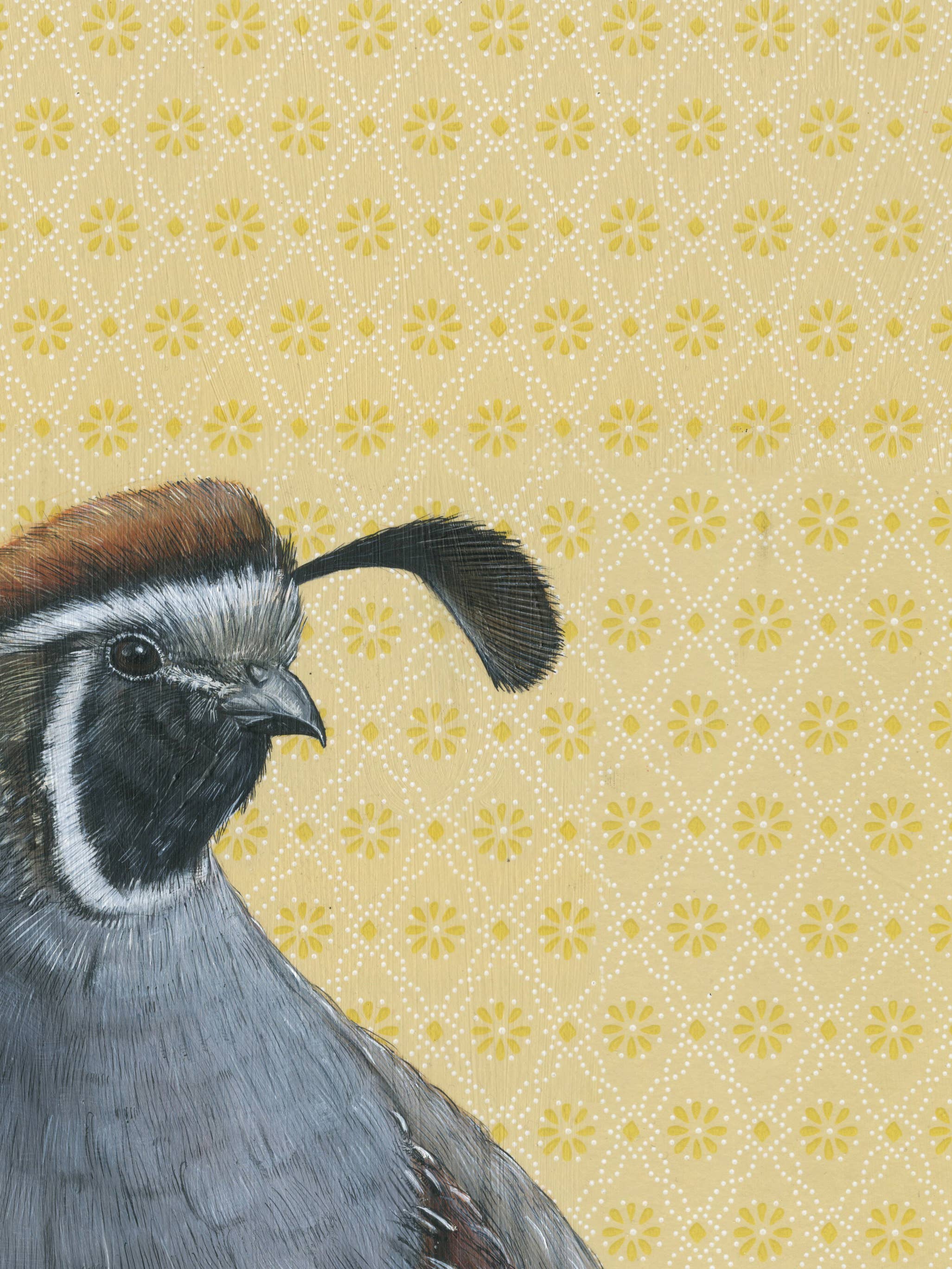 Framed art print of a quail on a yellow patterned background.