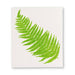 Vibrant green fern design on a white biodegradable dishcloth by Abbott, included in the Fern Leaf Dishcloths set of 2.