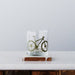 Set of Mountain Bike Rocks Glasses with versatile uses like holding pencils or serving drinks.