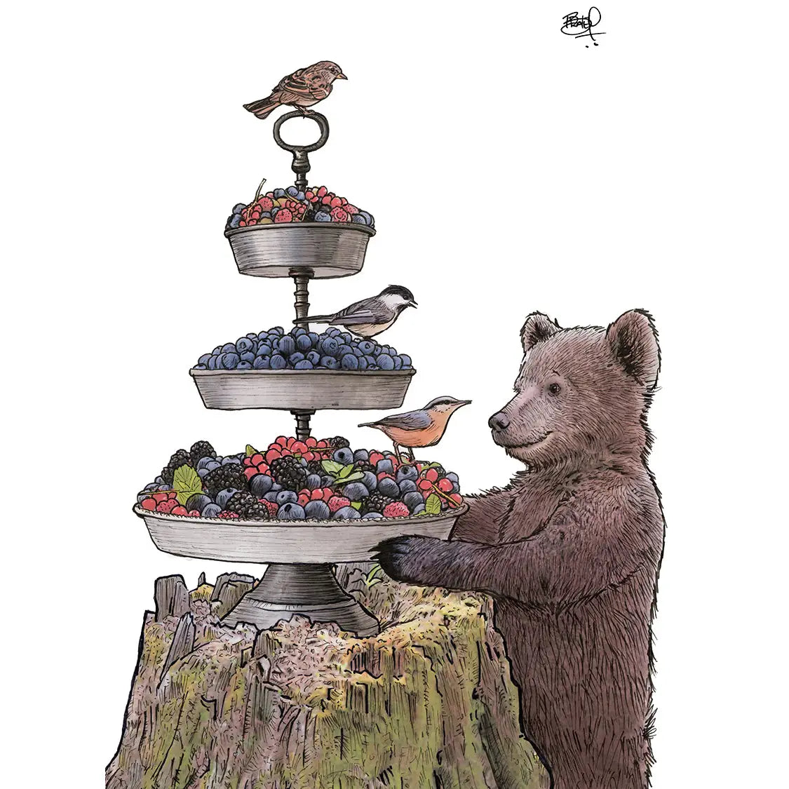 Shawn Braley Card Collection