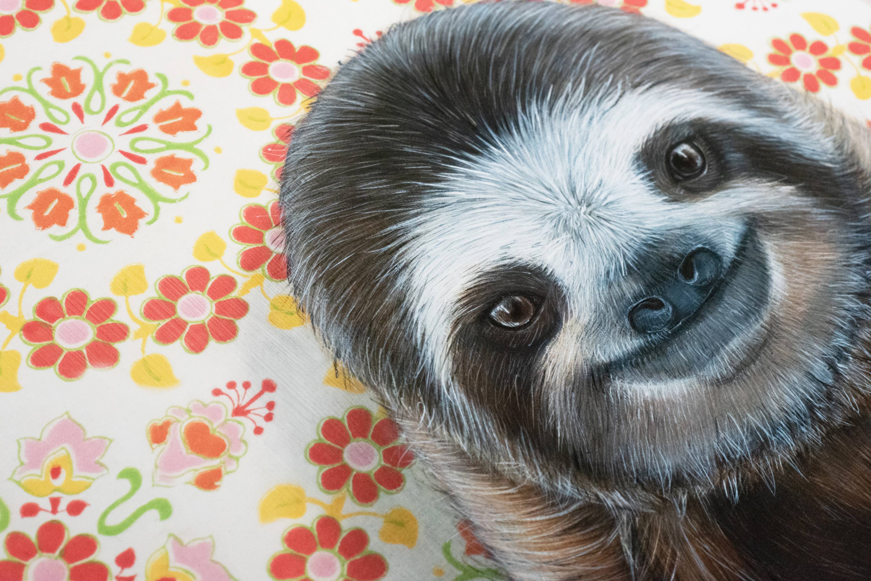 Framed art print of an sloth on a patterned background