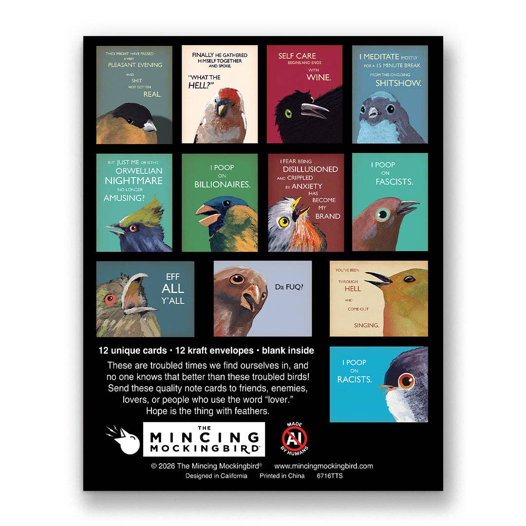 Troubled Birds for Troubled Times boxed greeting card set by Matt Adrian, additional product view